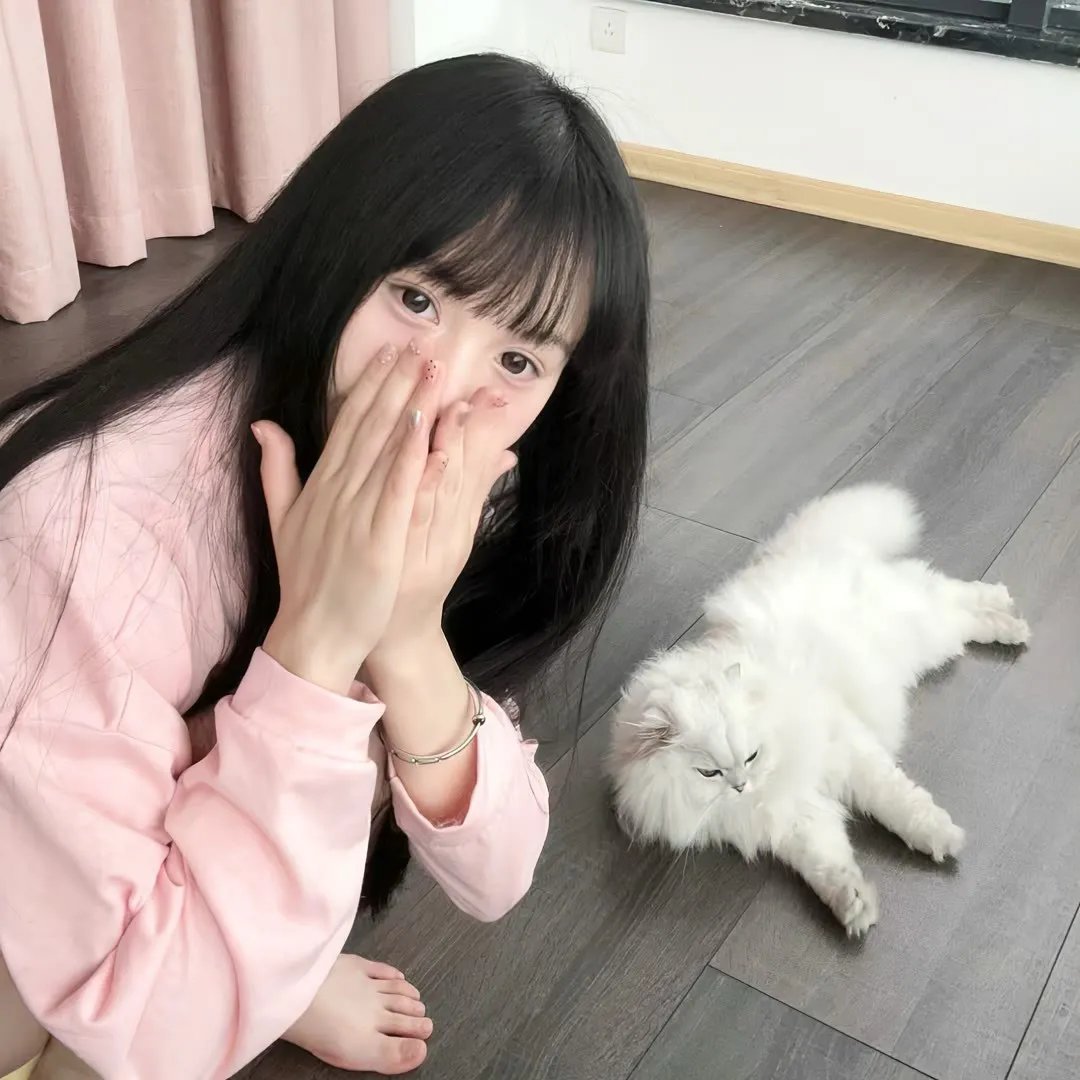 猪圈海报