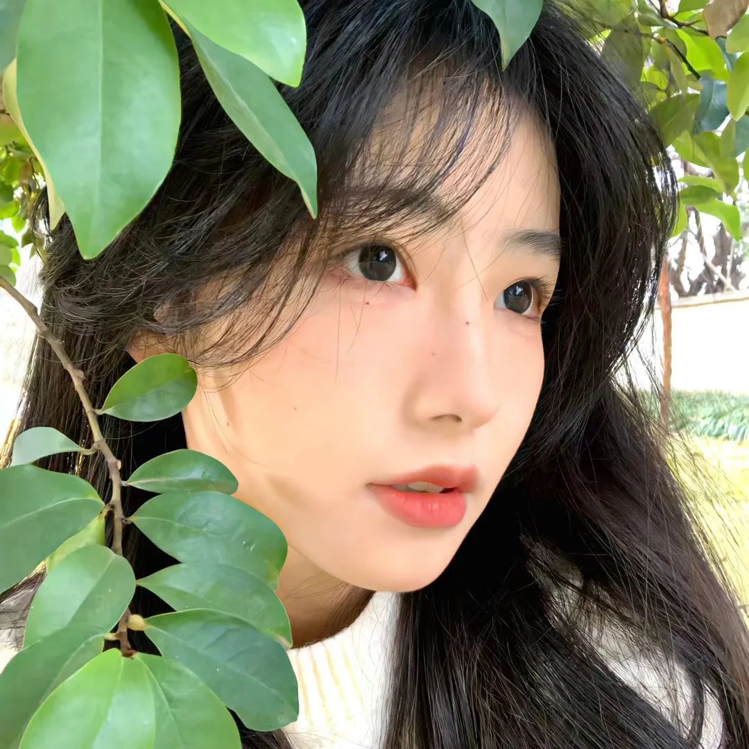 隨懿深度行海报