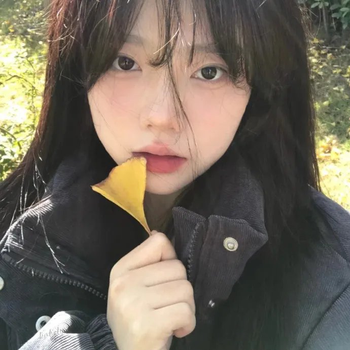 戴洛奇小镇第一季海报