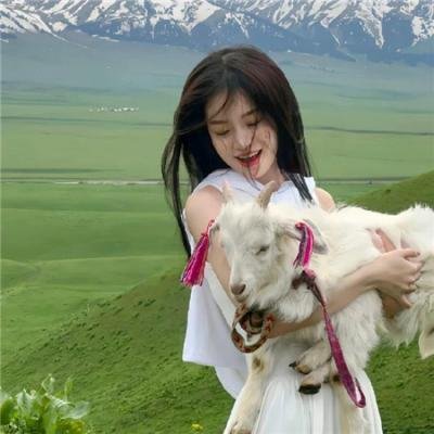 塞莱斯蒂娜海报